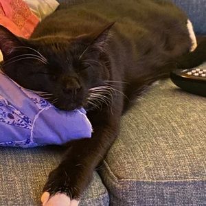 Meet your Posher, Marlon